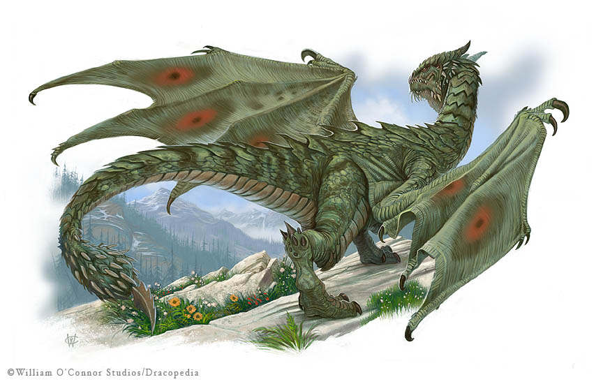 http://www.wocstudios.com/dracoimages/wyvern.jpg